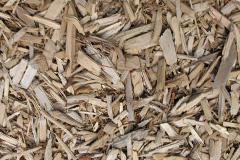 biomass boilers Yerbeston